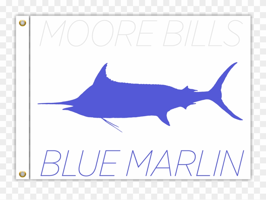 0 Comments - Swordfish Clipart