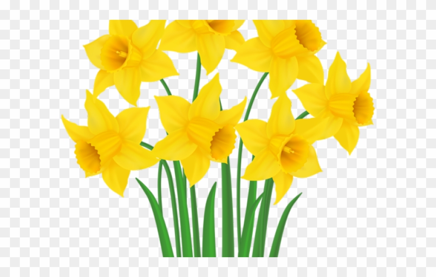 Daffodil Clipart Daffodil Bouquet - Clip Art - Png Download