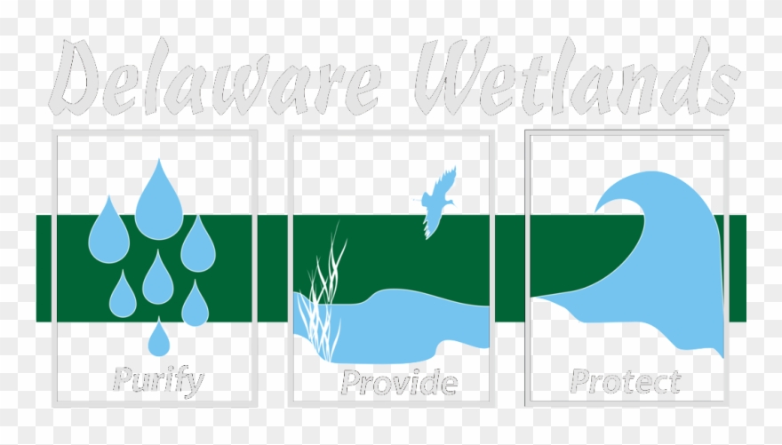 Dnrec Announces New Online Tool To Find Wetlands - Graphic Design Clipart