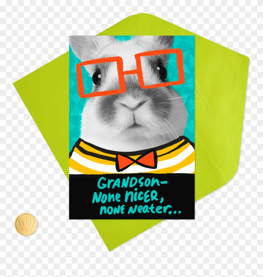 Bunny Rabbit With Glasses Easter Card For Grandson - Illustration Clipart