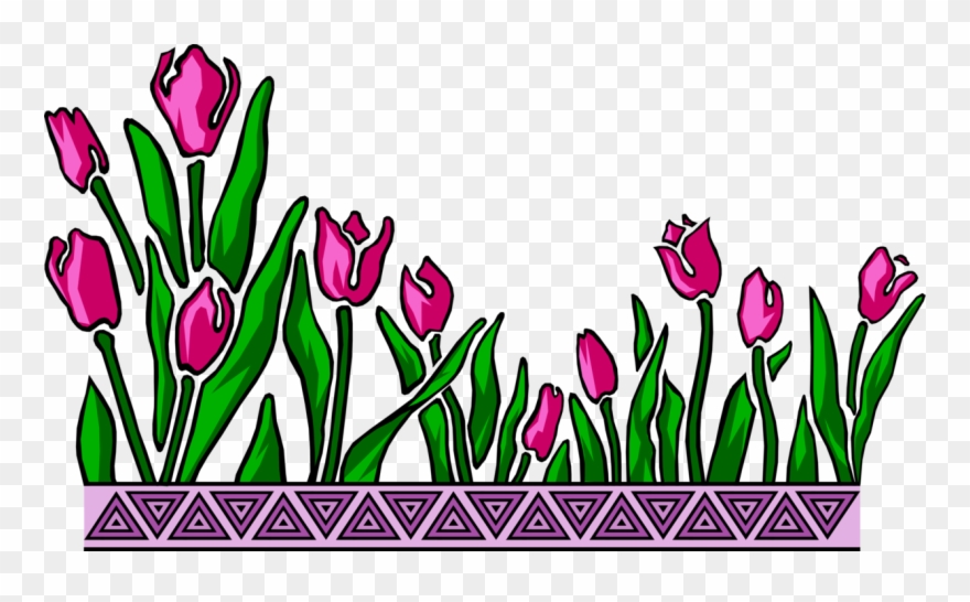 Vector Illustration Of Bulbous Plant Spring Tulips - Alnımızda Bilgilerden Bir Çelenk Clipart