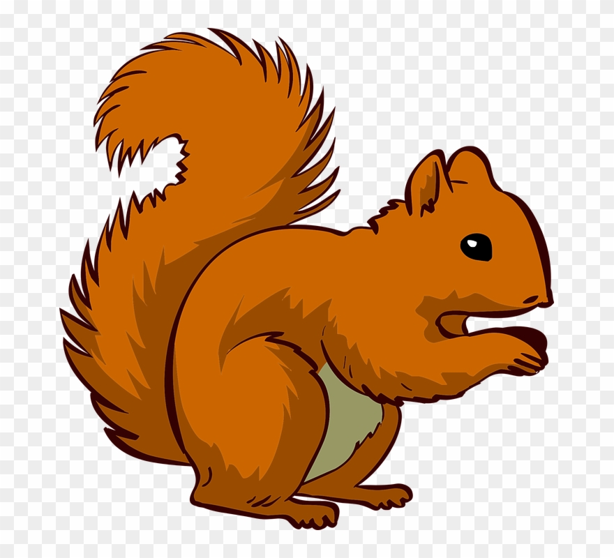 Clipart Of Vulnerable, Saves And Squirrel Free - Fox Squirrel - Png Download