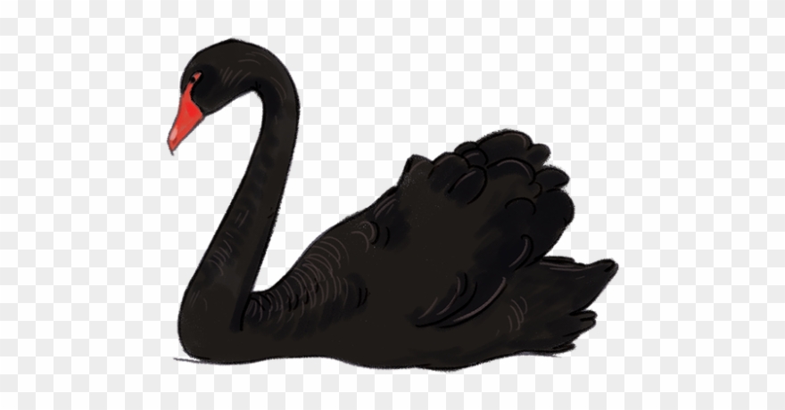 Black Swan Clipart Hans - Black Swan Animal Transparent - Png Download