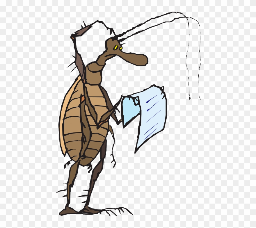 Vector - Insect Reading Clipart