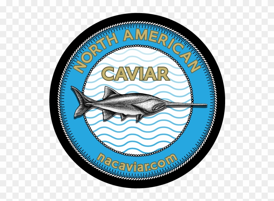 North American Caviar - Billfish Clipart