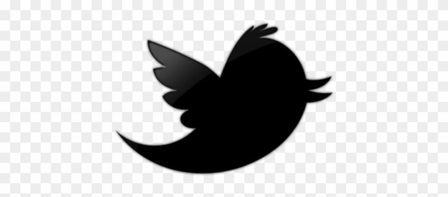 One Former Twitter Employee's Perspective On Race And - Black Twitter Bird Logo Clipart