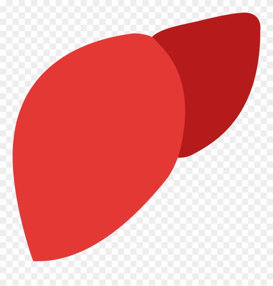 Liver Clipart Lever - Liver Icon - Png Download