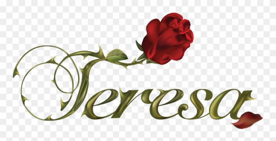 Teresa La Novela Clipart