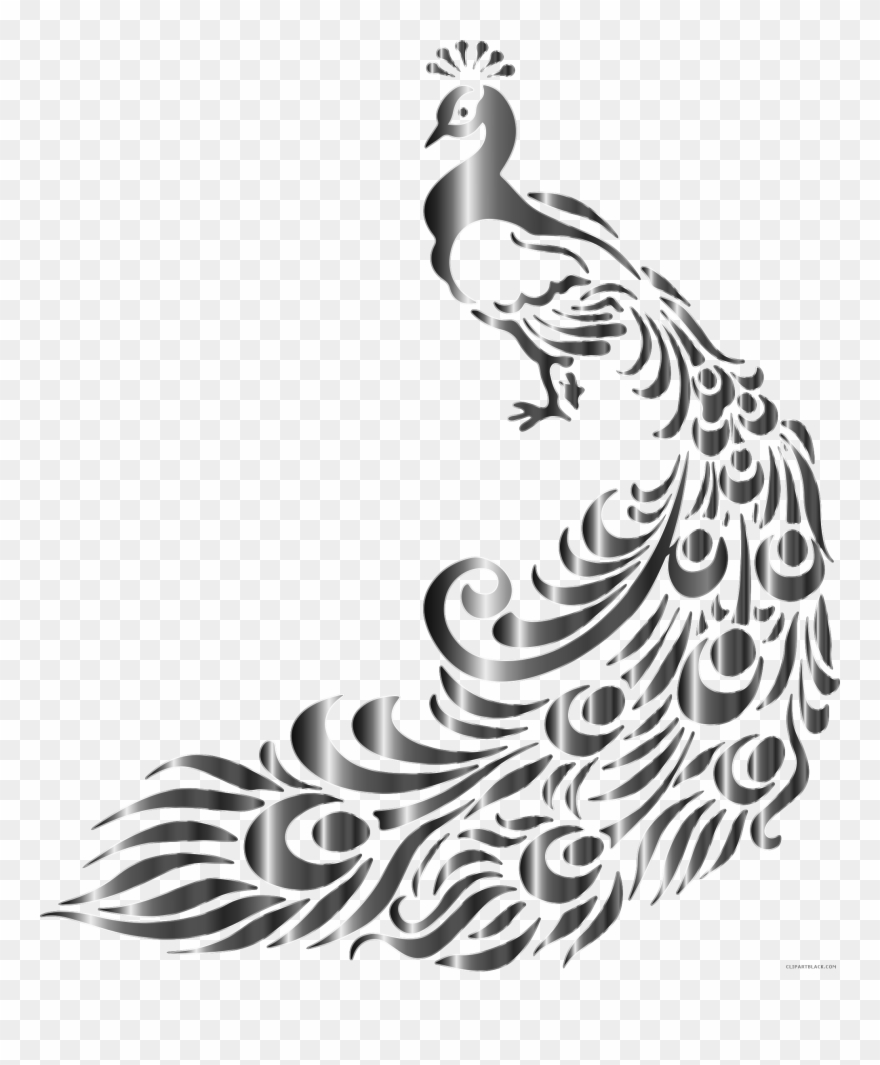 Animal Clipart Peacock - Border Designs For Assignment - Png Download