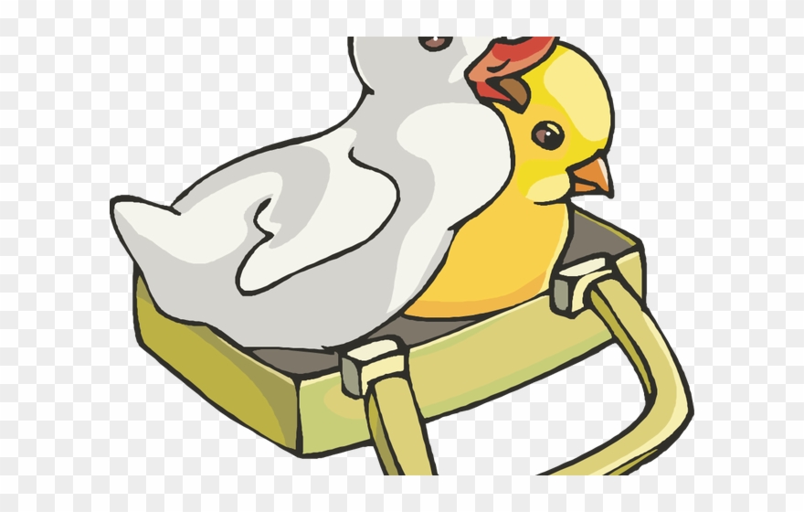 Chicken Clipart Duck - Png Download