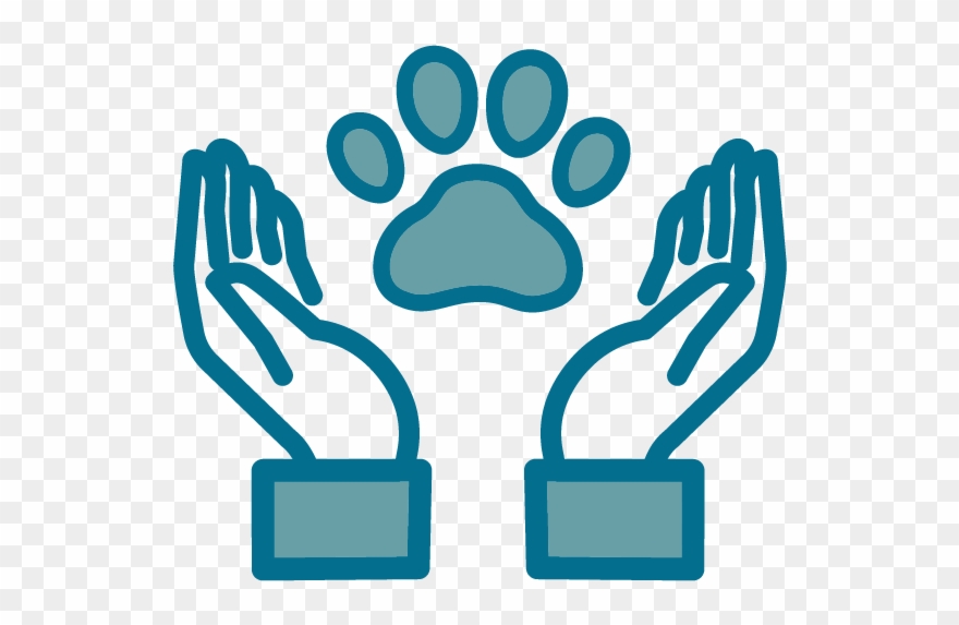 Quality Veterinary Medicine Clipart