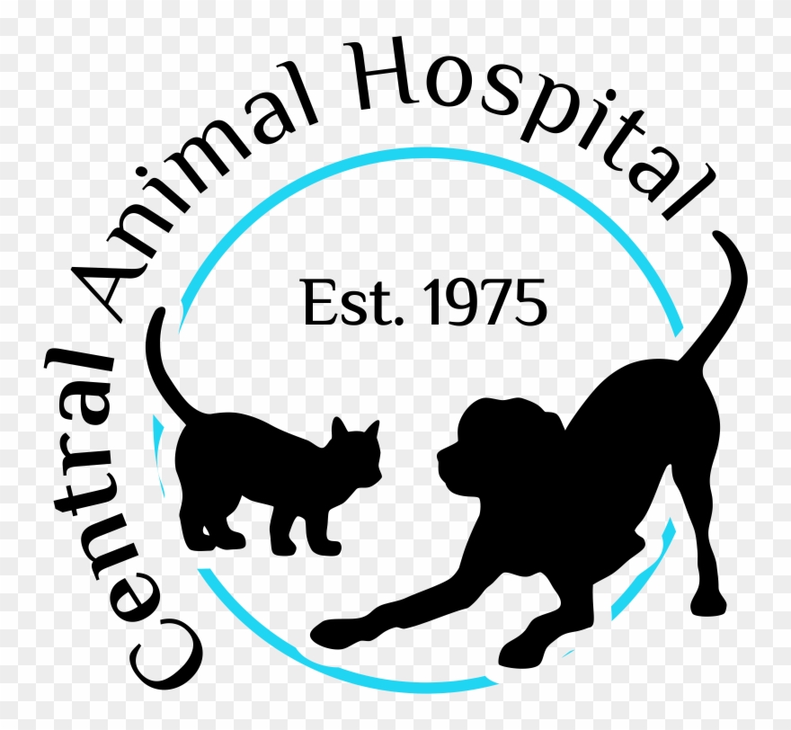 Central Animal Hospital - Labrador Cross Stitch Patterns Clipart