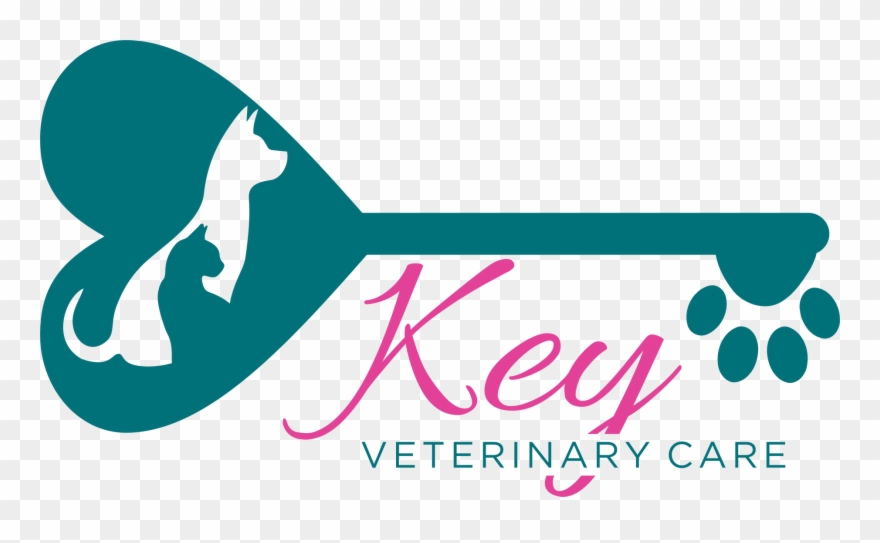 Saint John's County - Graphic Design Clipart