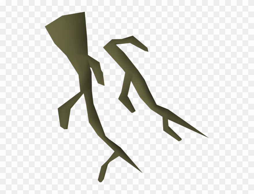 12 Tree Roots Pictures Free Cliparts That You Can Download - Illustration - Png Download