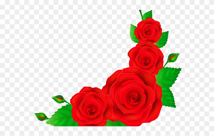 Border Clipart Rose - Red Rose Corner Border Png Transparent Png