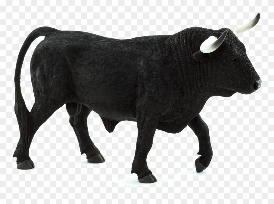 2457 X 1713 5 0 - Spanish Bull Clipart