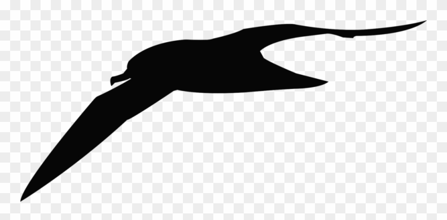 Dr Jennifer Lavers Wrote A Piece For Birdland, An Article Clipart