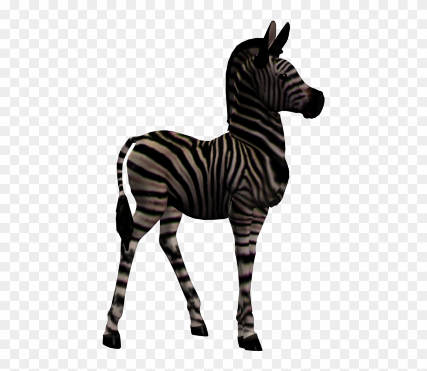 Zebra Foal 1 Png Stock By Direwrath Pluspng - Zebra Clipart