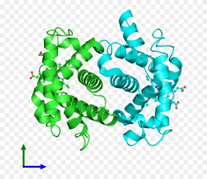 Ribbon Structure Of 1hco Clipart