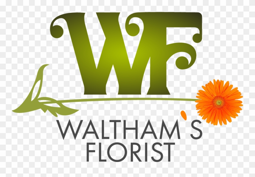 Waltham, Ma Florist - English Marigold Clipart