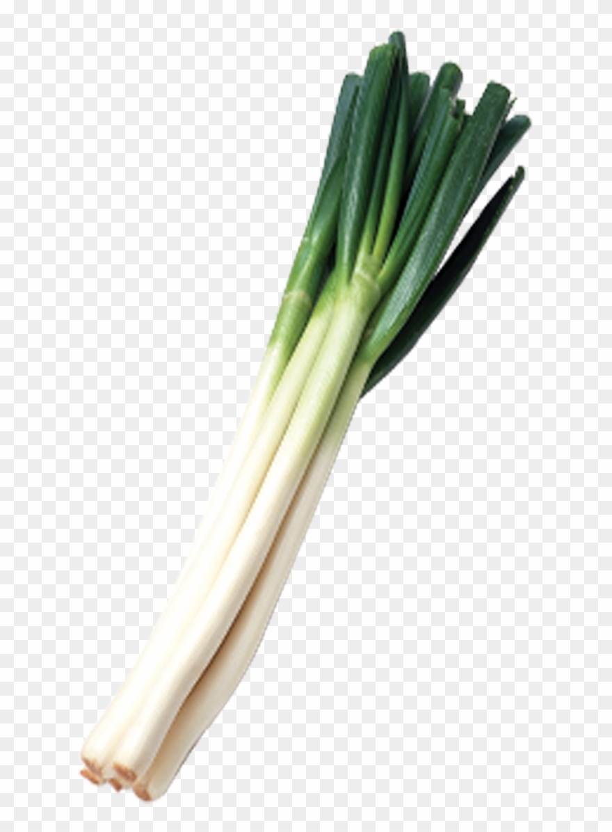 1181 X 1181 5 - Green Onion Png Clipart