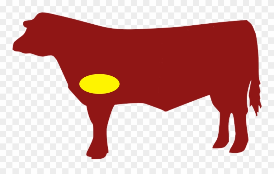 Cut Of Veal Sweetbreads - Cuts Of Beef Clipart