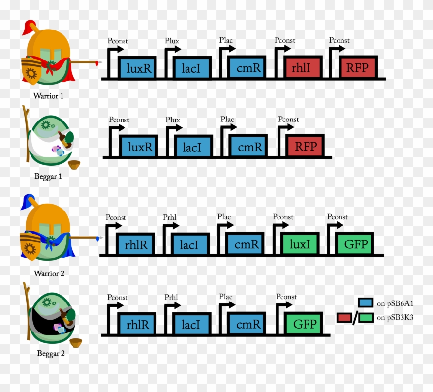 1 Gene Circuits Of Warriors And Beggars From Both Sides Clipart