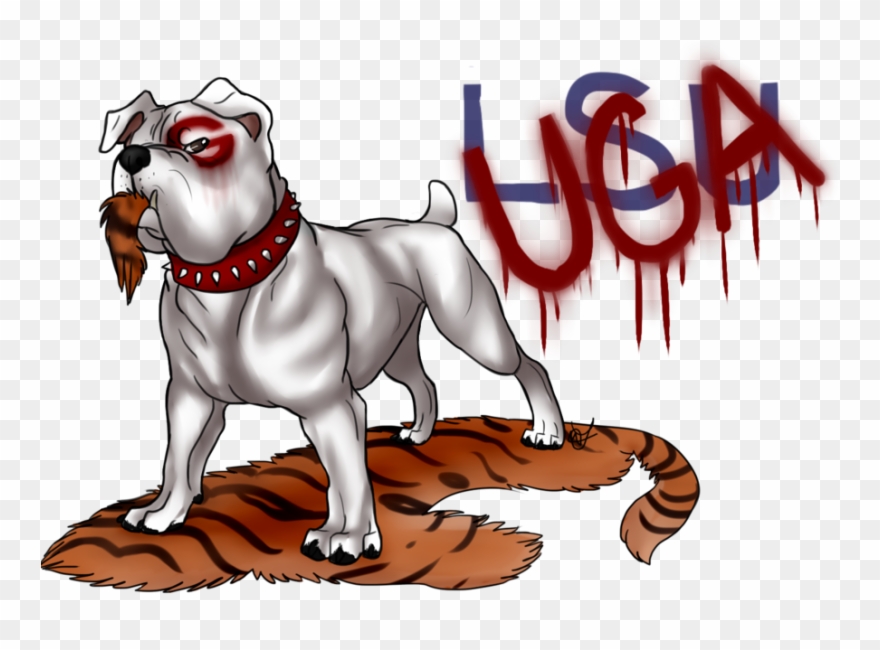 900 X 675 3 - Bulldogs Gamecocks Clipart