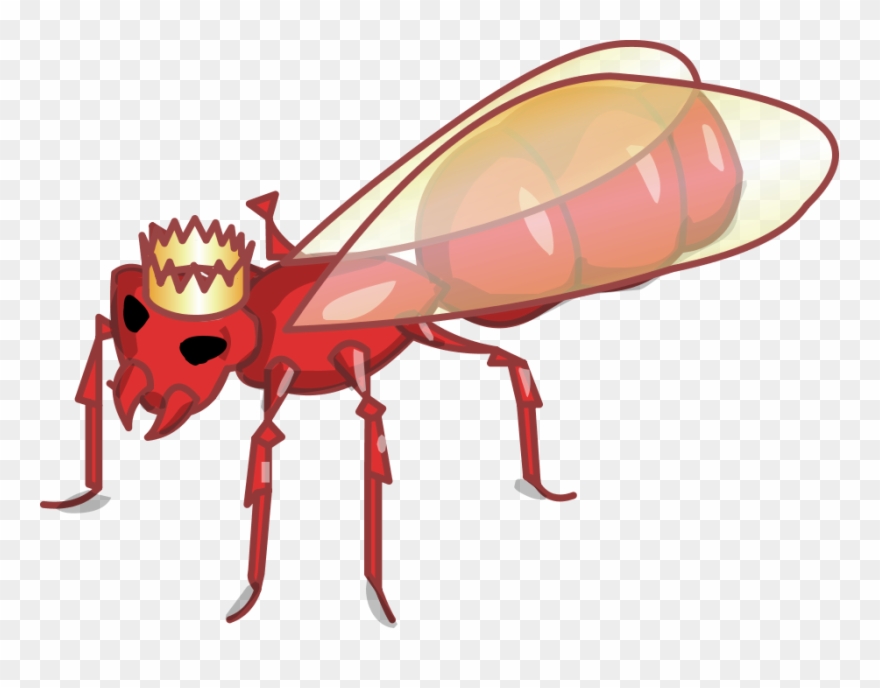 War Of The Web - Ant Clipart