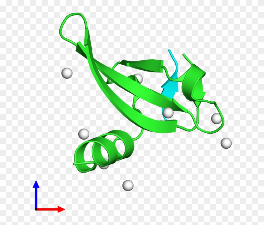 Pdb 5epk Coloured By Chain And Viewed From The Front - Graphic Design Clipart
