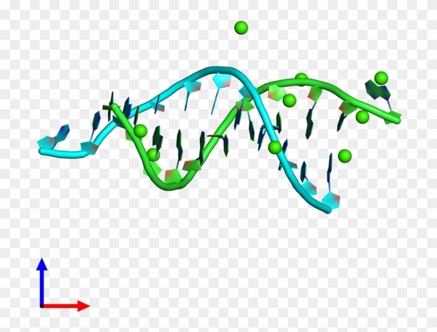 Pdb 5ktv Coloured By Chain And Viewed From The Front - Graphic Design Clipart