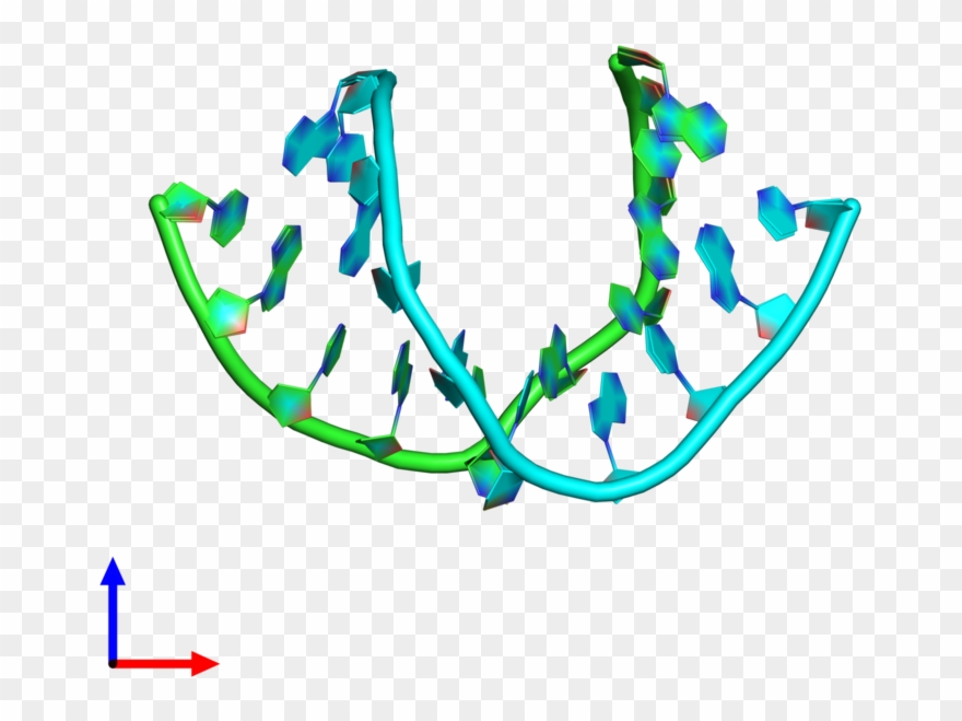 Pdb 5axe Coloured By Chain And Viewed From The Front - Graphic Design Clipart
