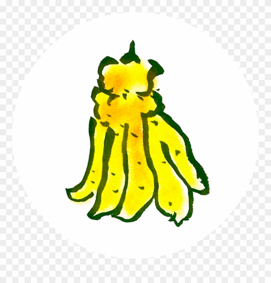 Buddha's Hand Clipart