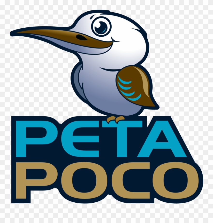 Logo1 - Logo1 - Petapoco Clipart