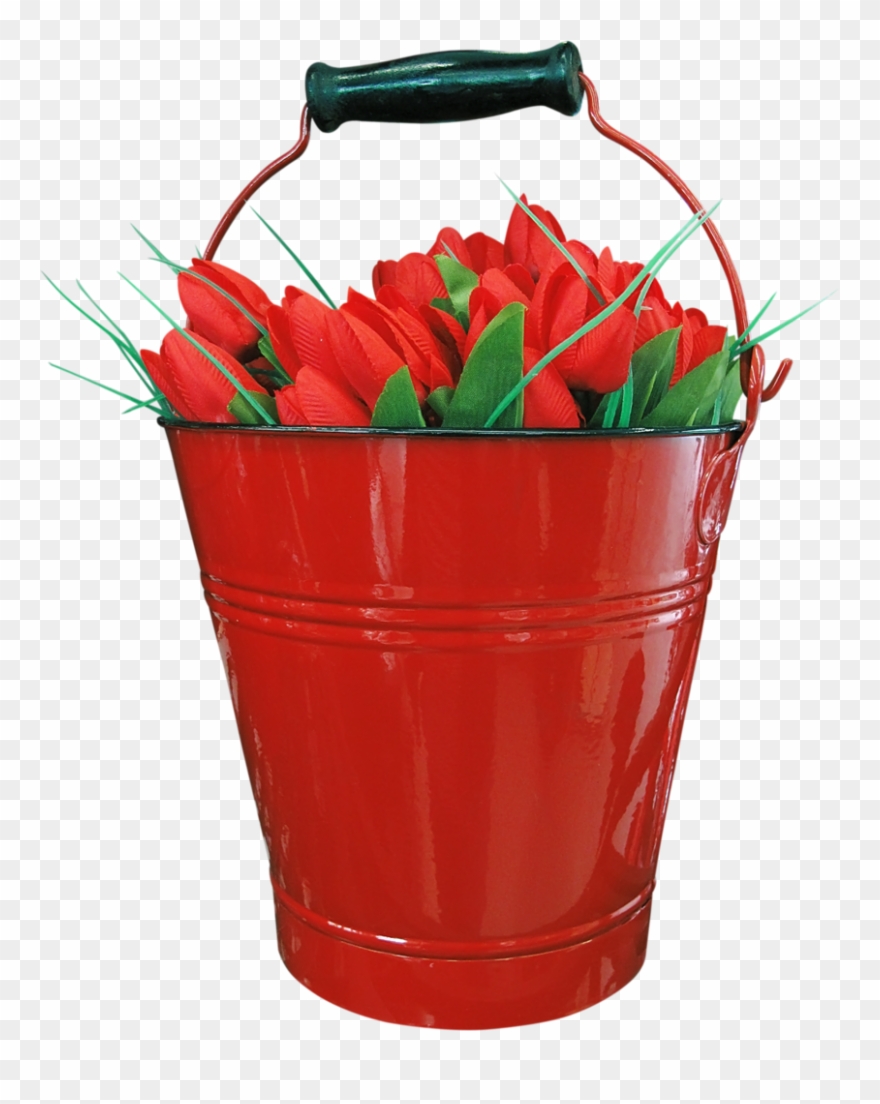 Фотки Jardim De Água, Flores, Clip Art - Tulip - Png Download