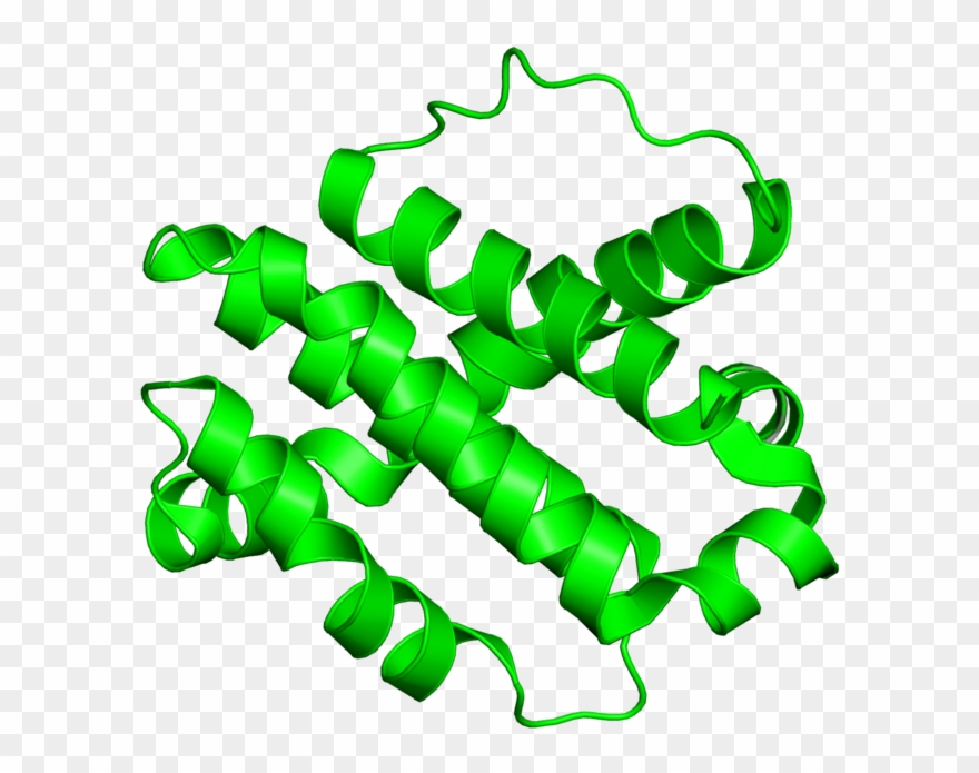 <div Class='caption-body'>1 Copy Of Cath Domain < Clipart