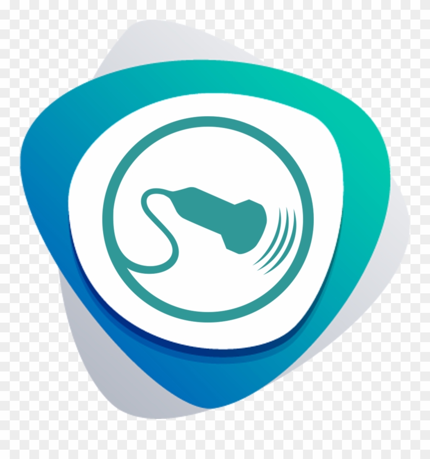 Ultrasound Png Clipart
