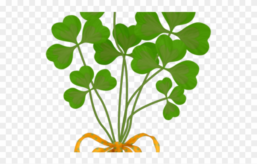 Shamrock Clipart Bouquet - Png Download