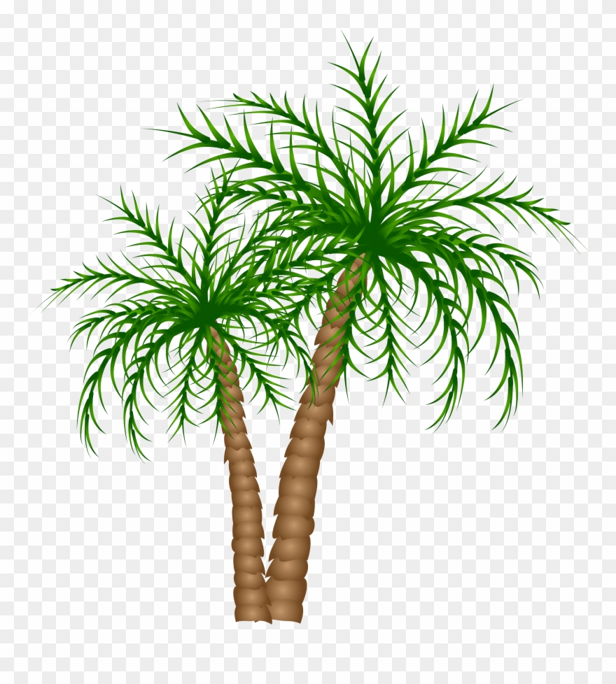 Date Tree Clipart Png , Png Download Transparent Png