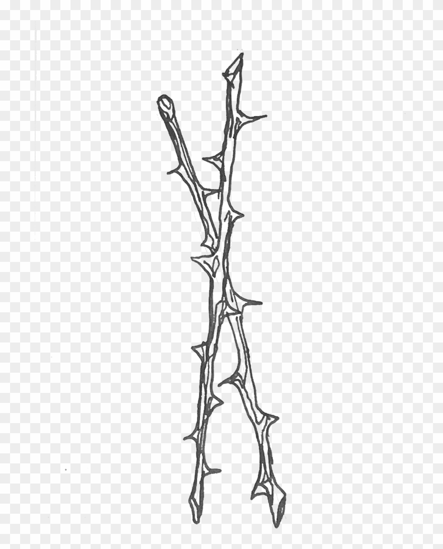 796 X 1061 2 - Line Art Clipart