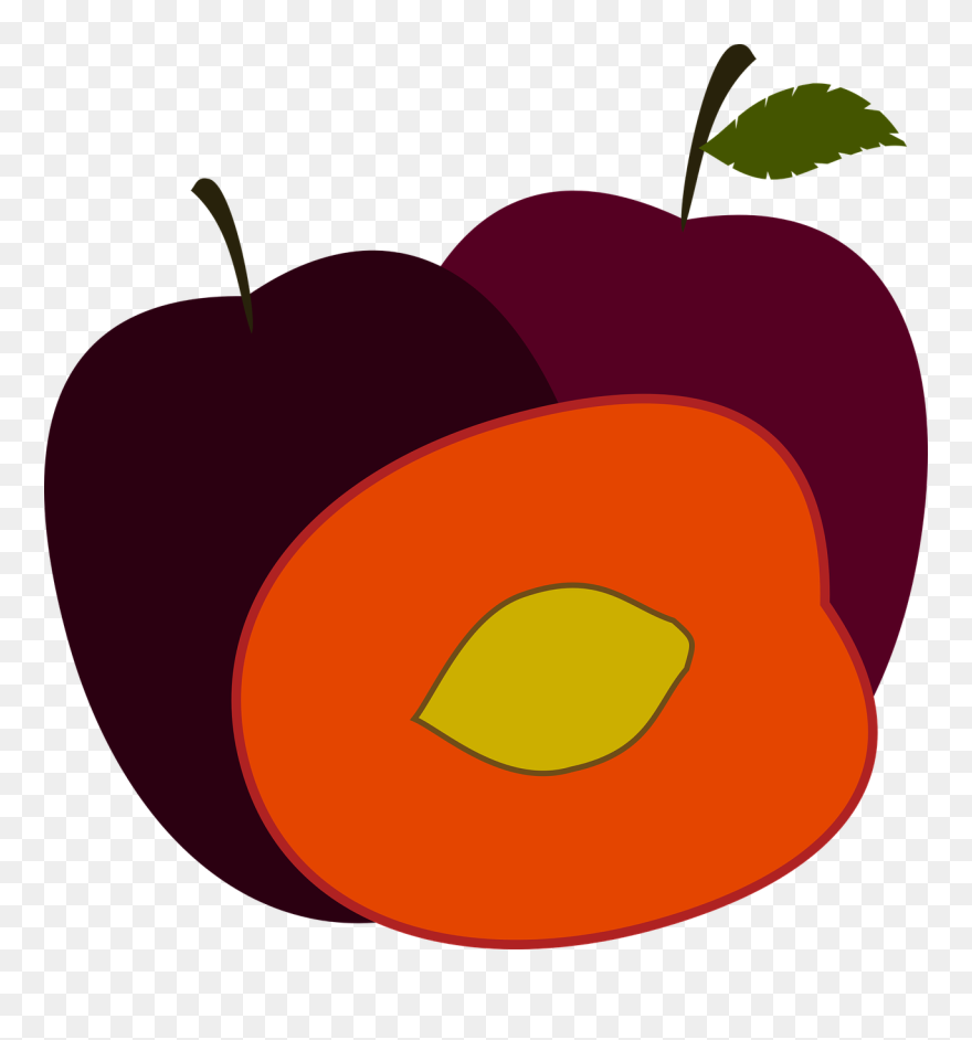 Plum, Purple Plum, Plums, Fruit, Healthy, Pruna - Nüsse Zwetschgen Clipart Schwarz Weiß - Png Download