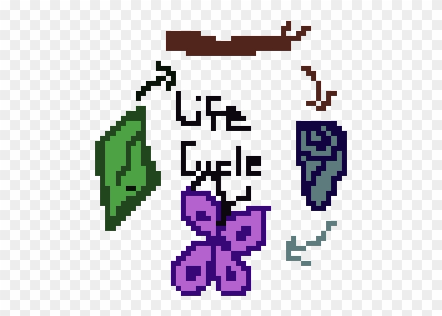 Life Cycle Clipart