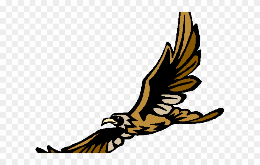 Peregrine Falcon Clipart Soaring Falcon - Amelia Earhart Middle School Hawks - Png Download