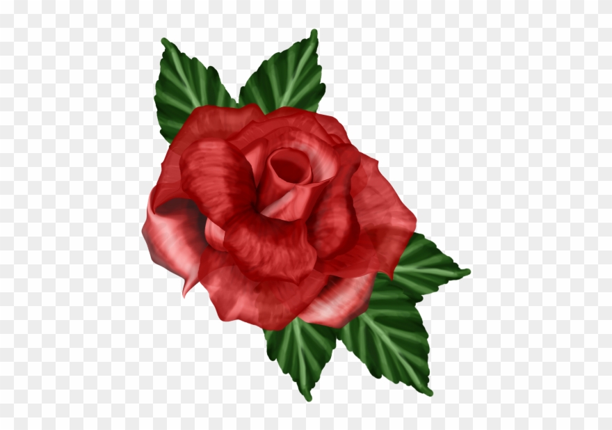 B *✿* Clip Art, Printables, Valentines, Album, Pretty - Garden Roses - Png Download