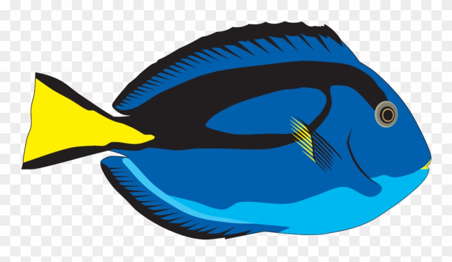 Brisbane Northside, Redcliffe, Caboolture And Bribie - Illustration Clipart