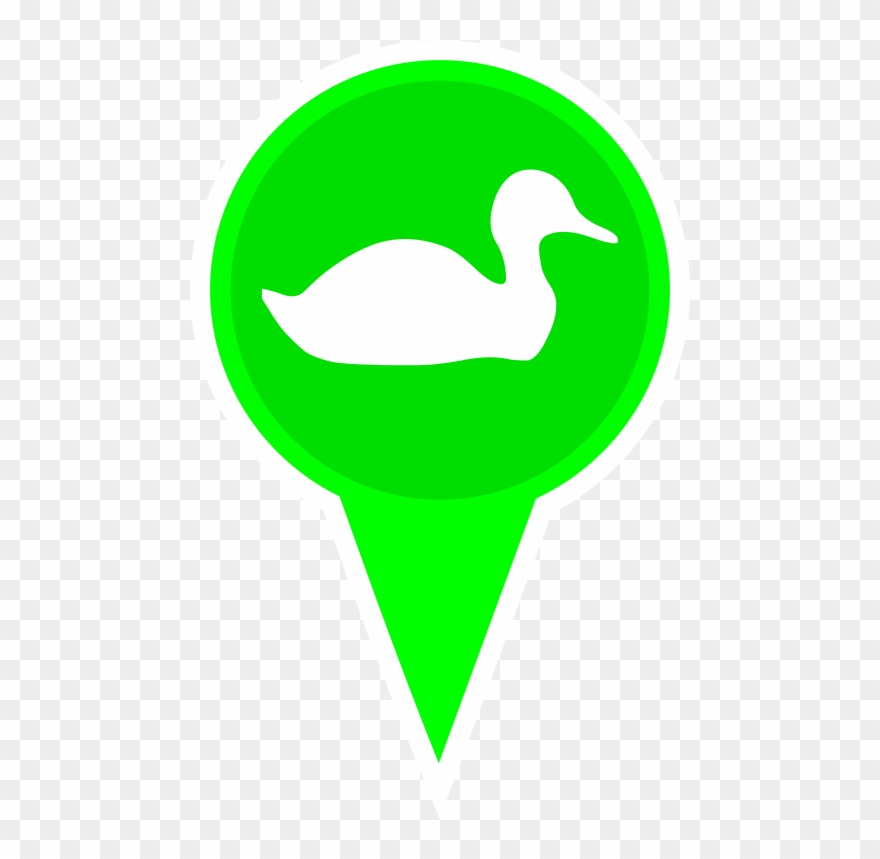 Algarve Birdwatching - Illustration Clipart