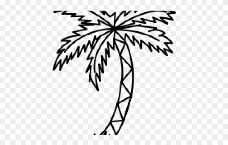 Drawn Palm Tree Line - Coloring Book Clipart