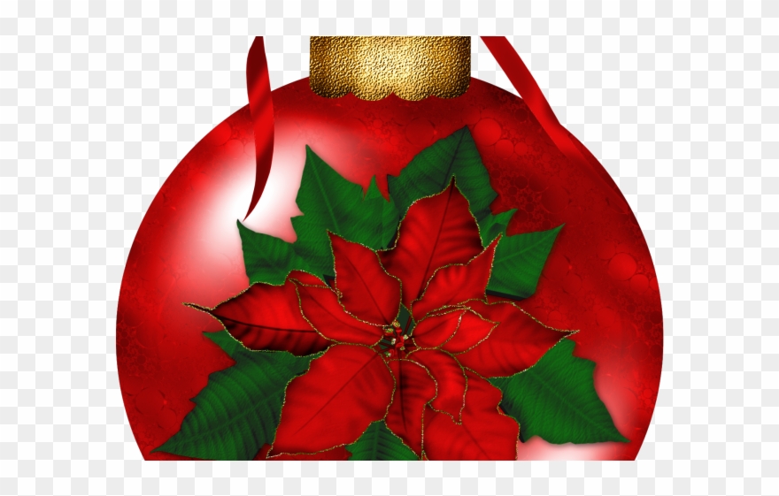 Christmas Poinsettia Clipart - Transparent Poinsettia Images Christmas - Png Download