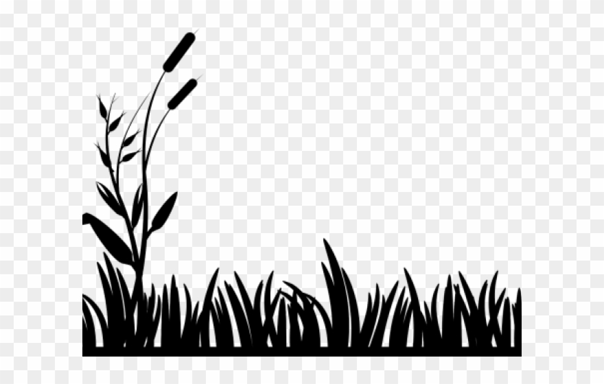 Pond Clipart Swamp - Grass Clip Art Black And White - Png Download