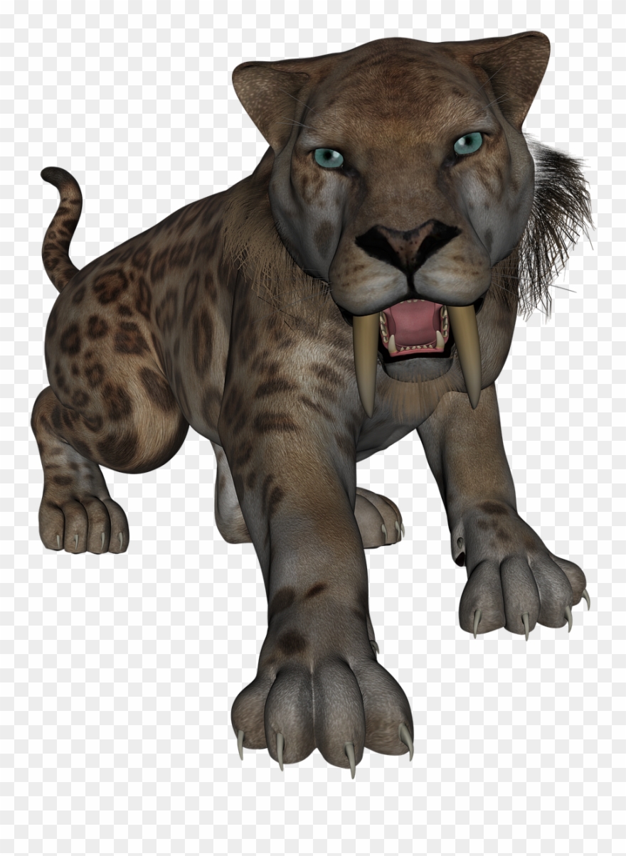 Saber Toothed Tiger Saber Tooth Tiger - Stone Age Animals Clipart